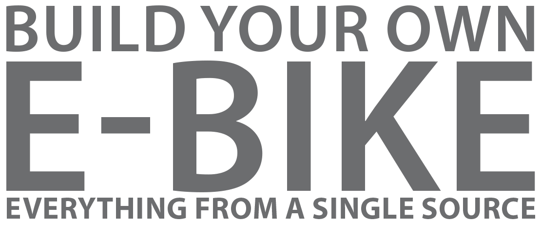 Build your own E-Bike