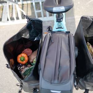 TWIRL Carry D Gepäckträgertasche