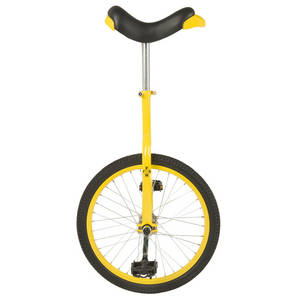 FUN  20" unicycle