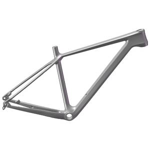 Carbon 29" MTB Rahmen