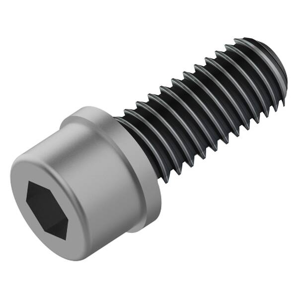 FAHRWERKER Schrauben PM/Adapter, M6x18 1Set = 2pcs vite