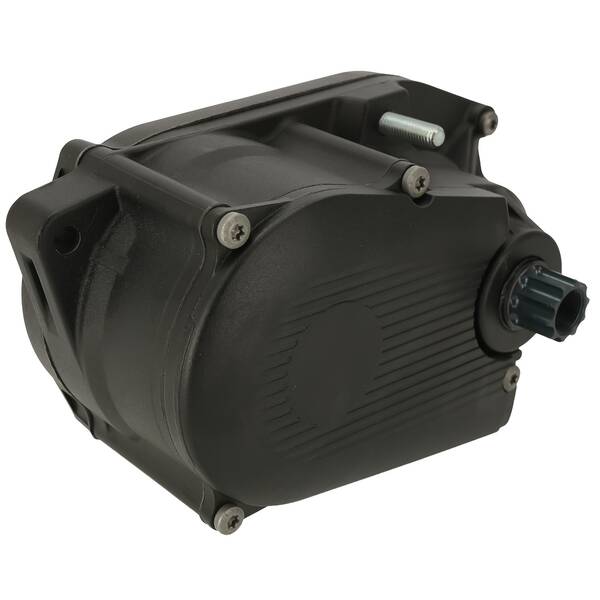 YAMAHA Drive H Mag horizontal (Cargo), 36 V / 250 W, 90 Nm motore E-Bike