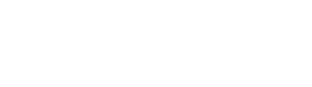 Selle Italia Logo