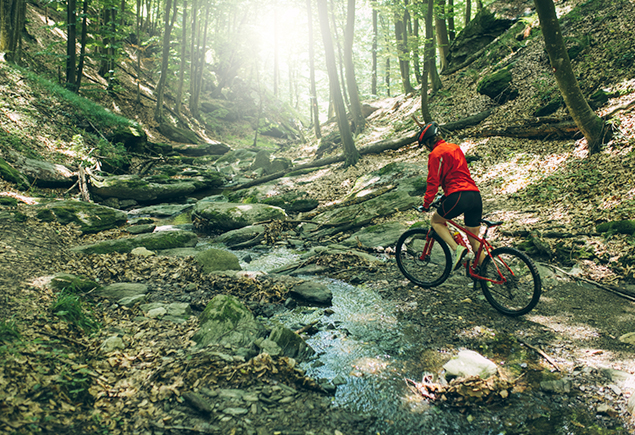 MTB Tour Altenberg